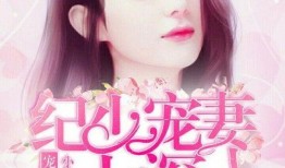 妻妻在线观看全集,一场跨越时空的浪漫邂逅